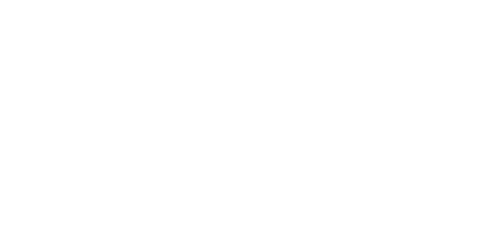 Flow4 Logo